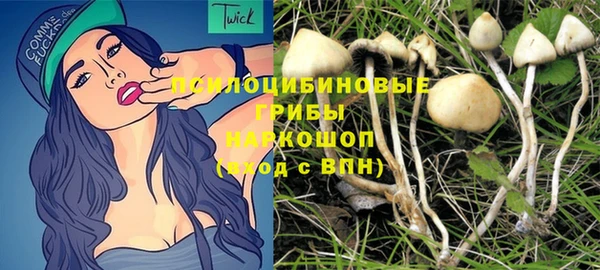 spice Абдулино