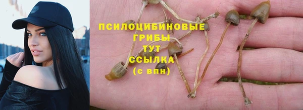 spice Абдулино