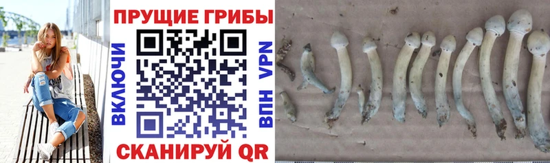Псилоцибиновые грибы мухоморы  Духовщина 